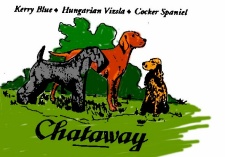 Chataway Logo
